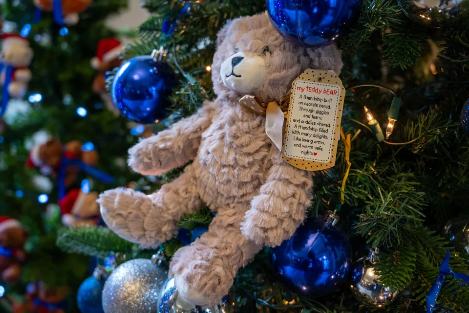 Picture of teddy bear sitting in the branches of a Christmas tree. 