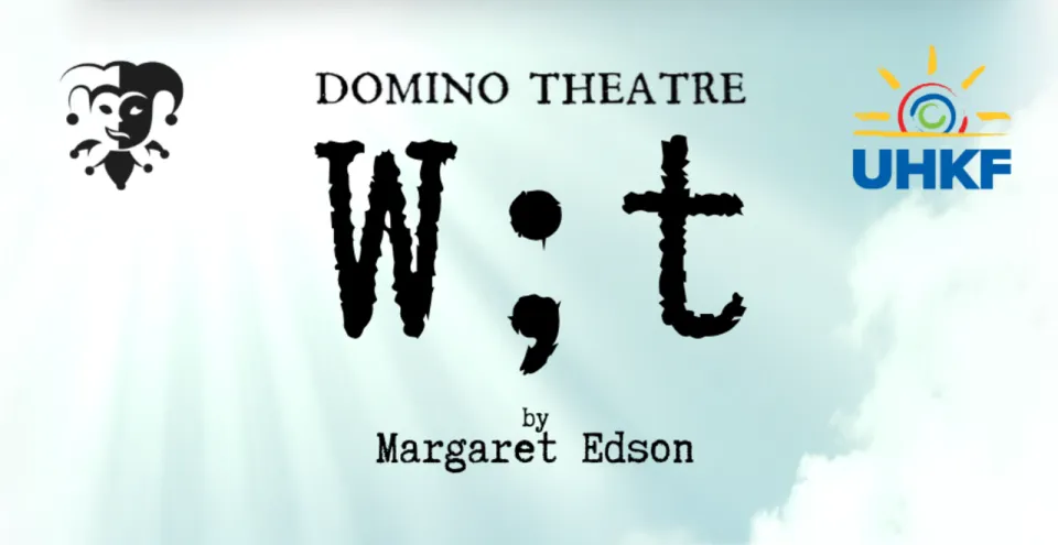 Domino Theatre banner 