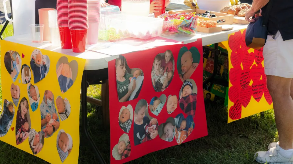 Lemonade stand contents and decorations.