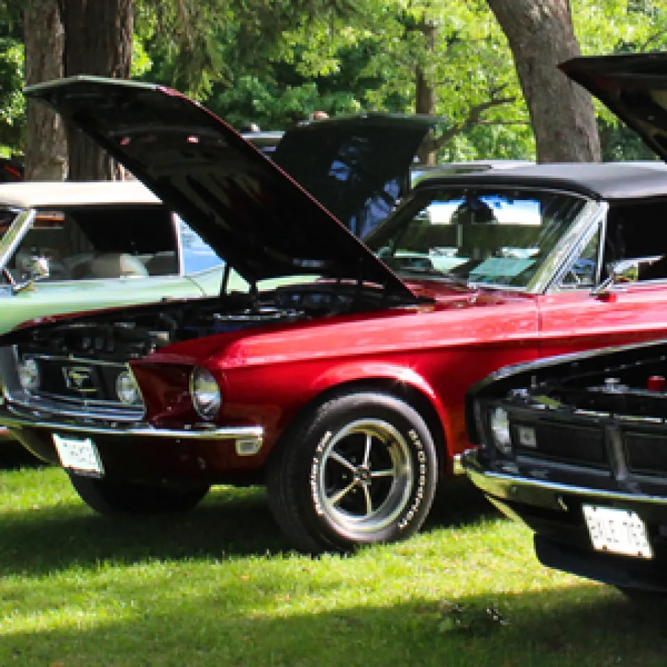 Classic cars lined up.
