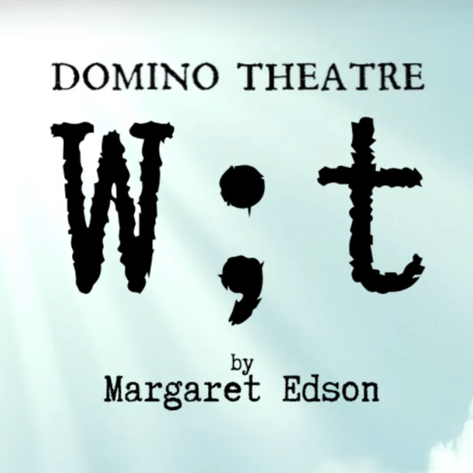 Domino Theatre banner 
